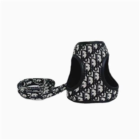 dior dog collar and leash|dior pet carrier.